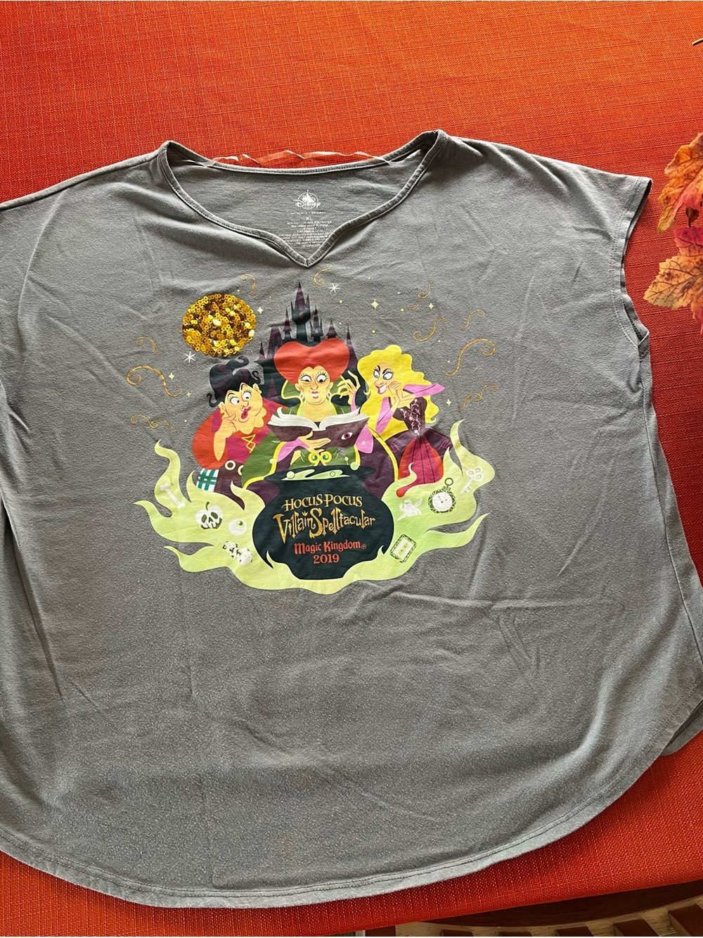 Disney Gray Hocus Pocus Villains Spectacular Graphic Tee